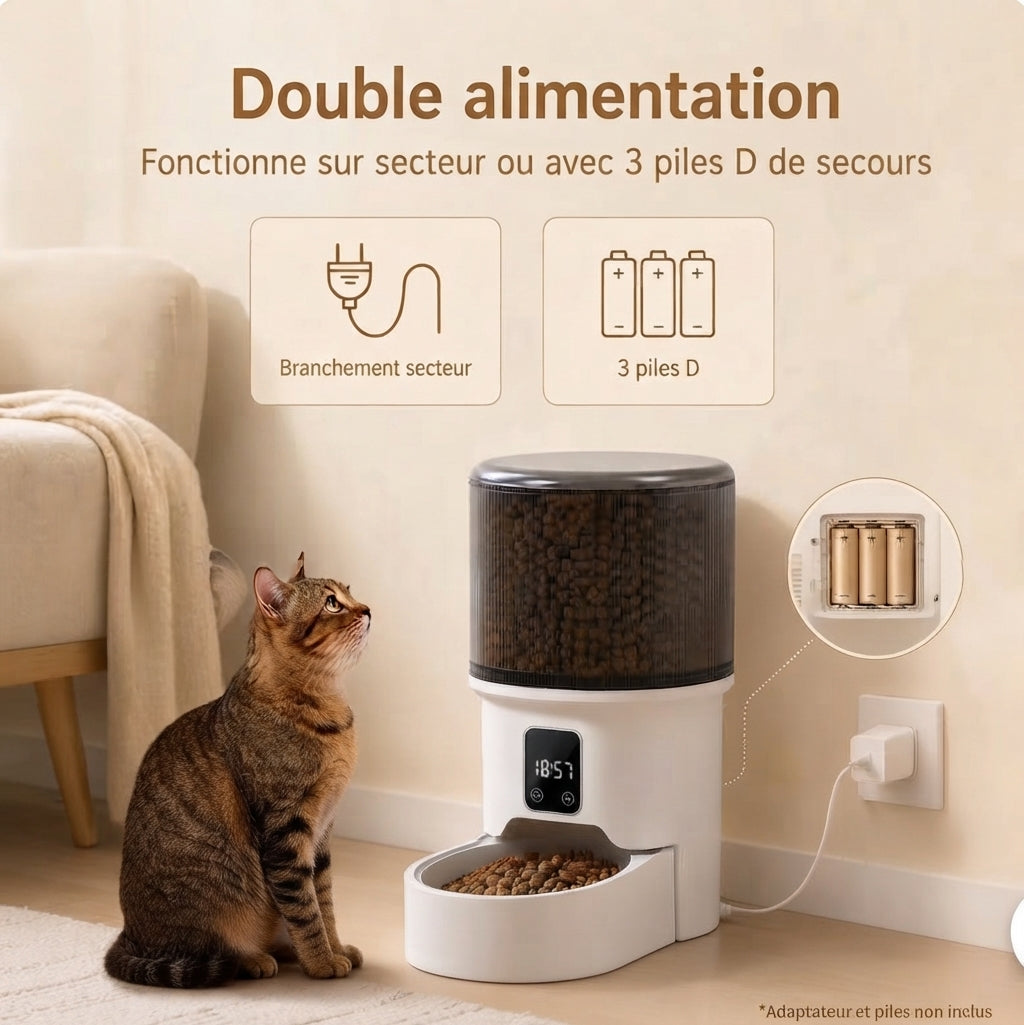 Une infographie illustrant les options d'alimentation pour un distributeur de croquettes automatique pour chat.