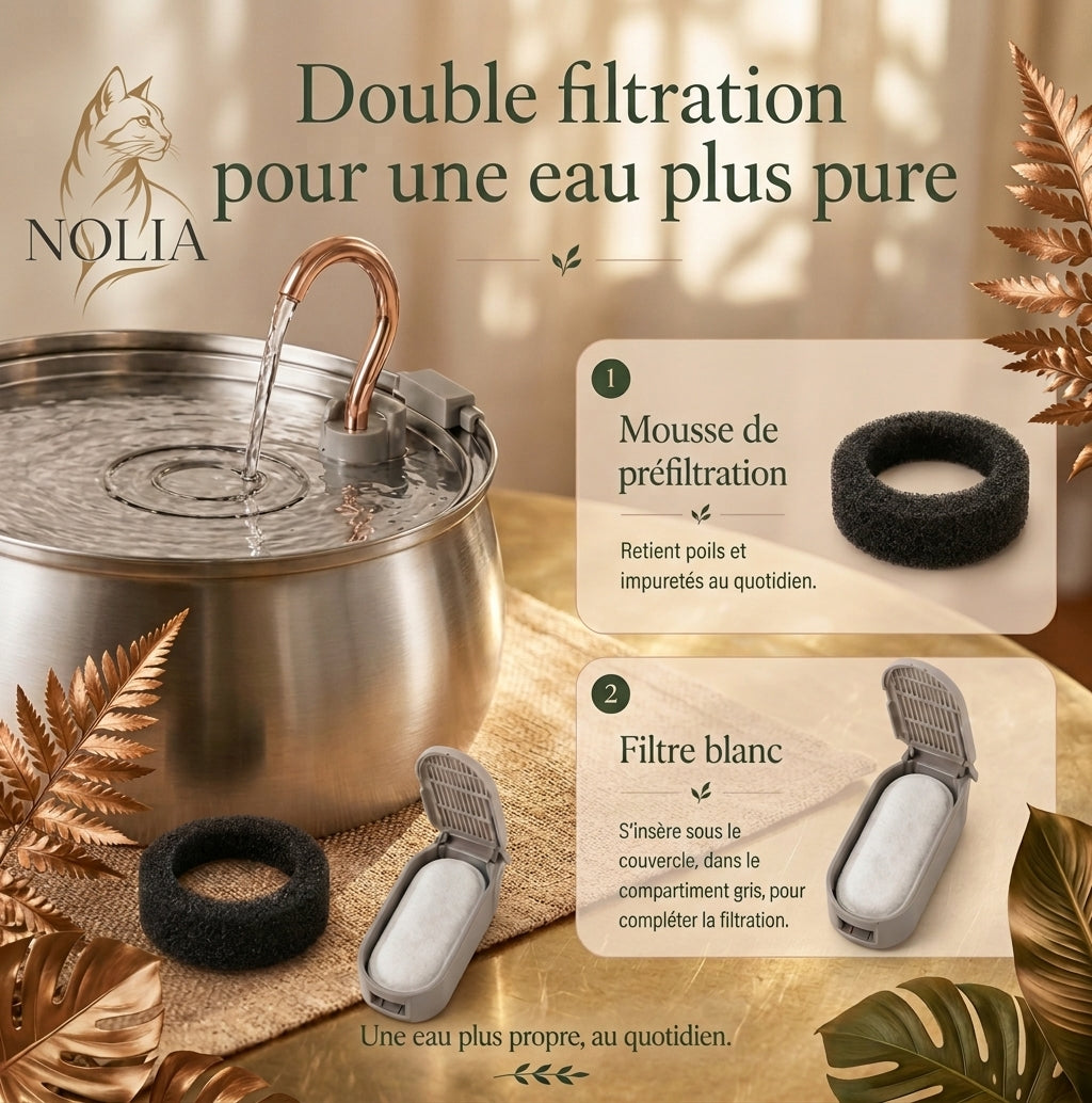 Un visuel d'information produit en français pour un système de filtration d'eau double action de la marque "NOLIA", destiné aux fontaines d'eau pour animaux de compagnie. L'image est une composition photographique et graphique détaillée sur un fond texturé d'or et de lin, orné de feuilles de fougère dorées pour une esthétique naturelle et premium