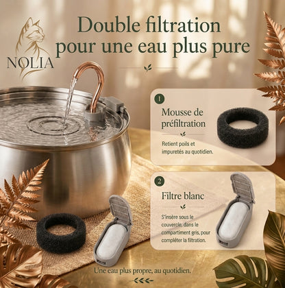 Infographie explicative Nolia sur la double filtration, présentant une fontaine à eau en inox, un filtre en mousse de préfiltration et un filtre blanc inséré dans son boîtier pour une eau plus pure.